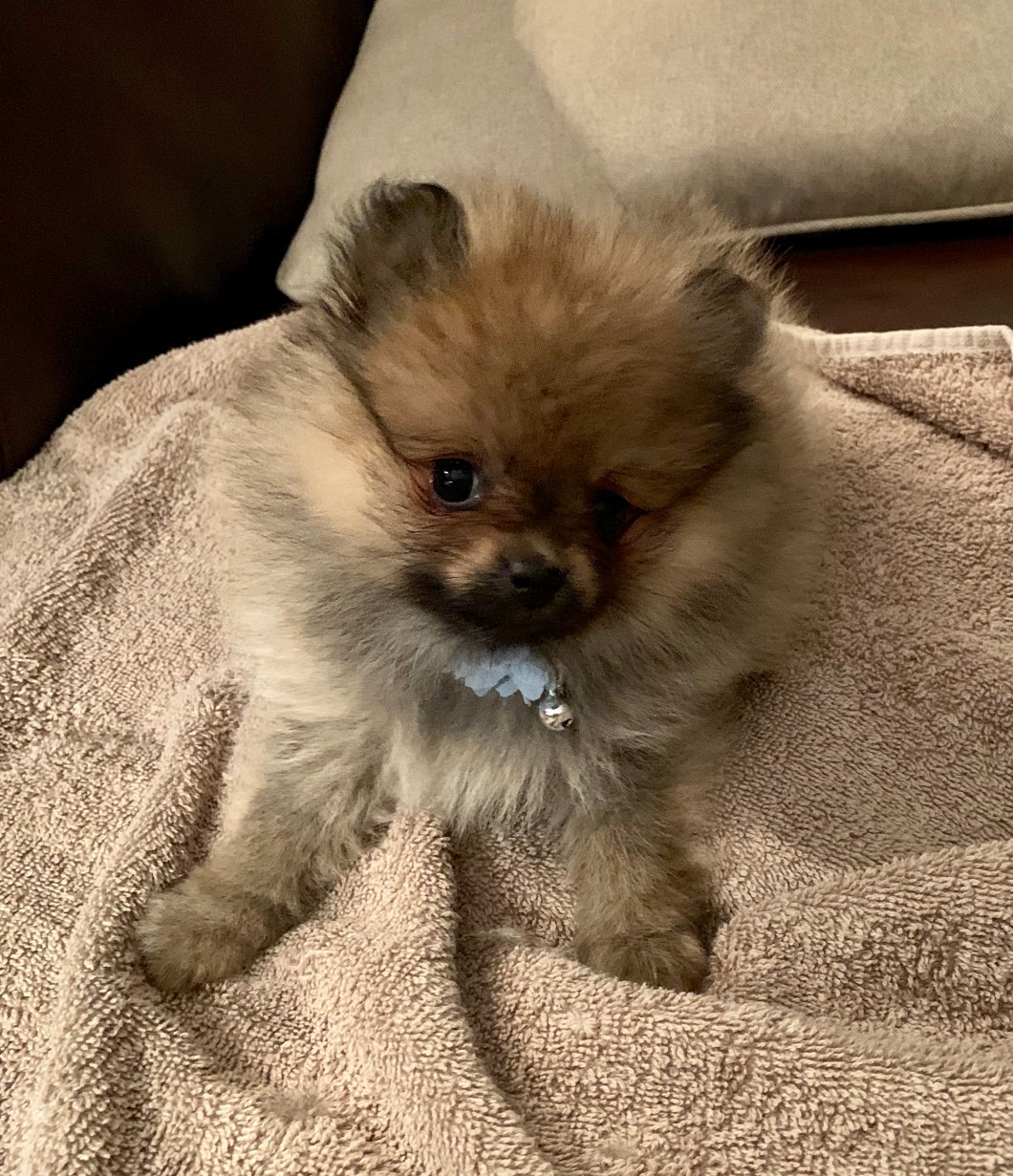 015F23B3-2665-4448-869F-361E3365E7B7